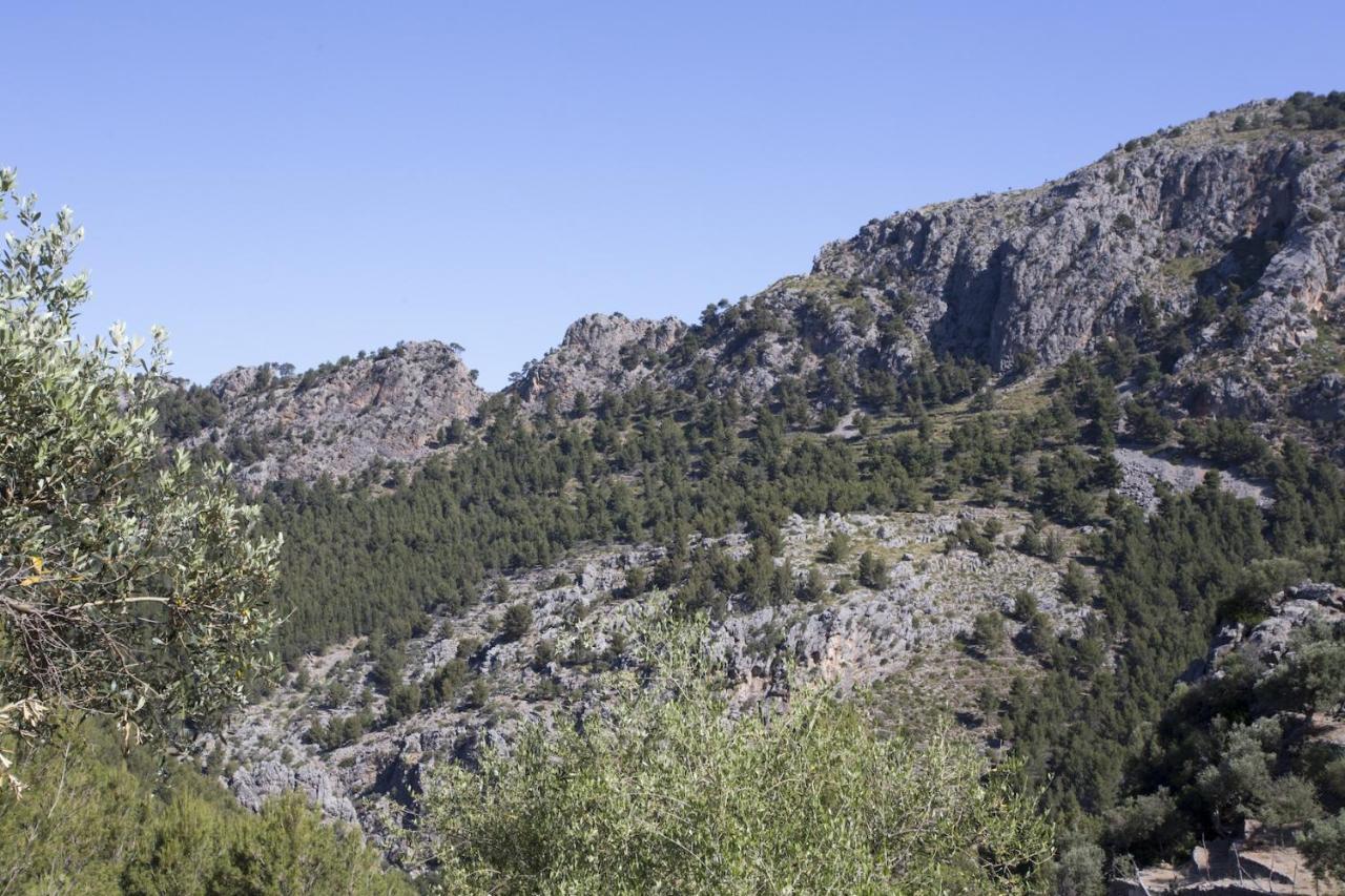 Es Coco, Soller *