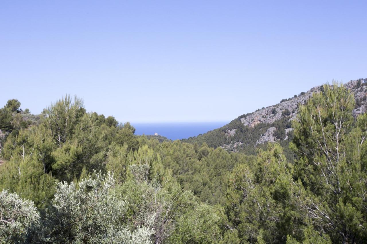 Es Coco, Soller Port De Soller