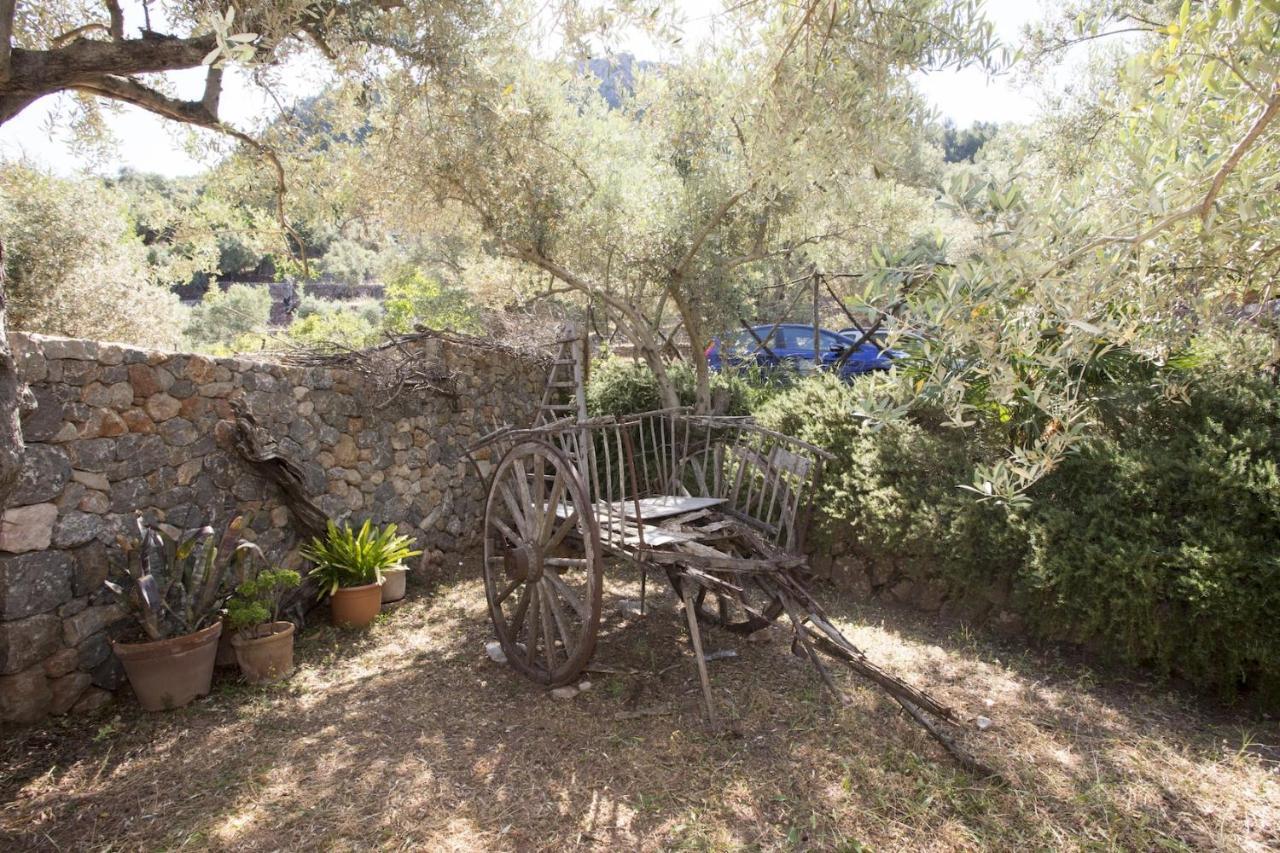 Es Coco, Soller Villa Port De Soller