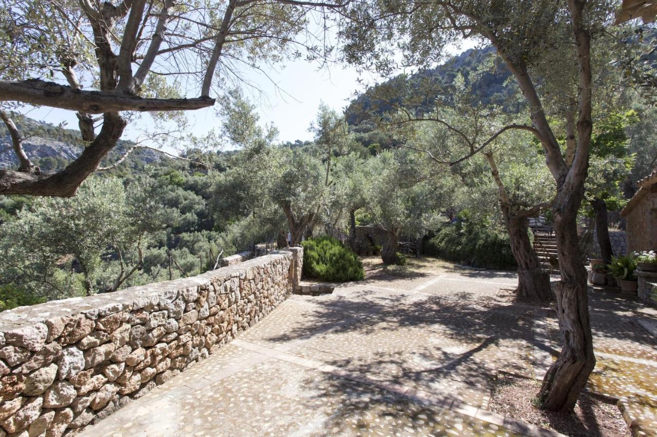 Es Coco, Soller