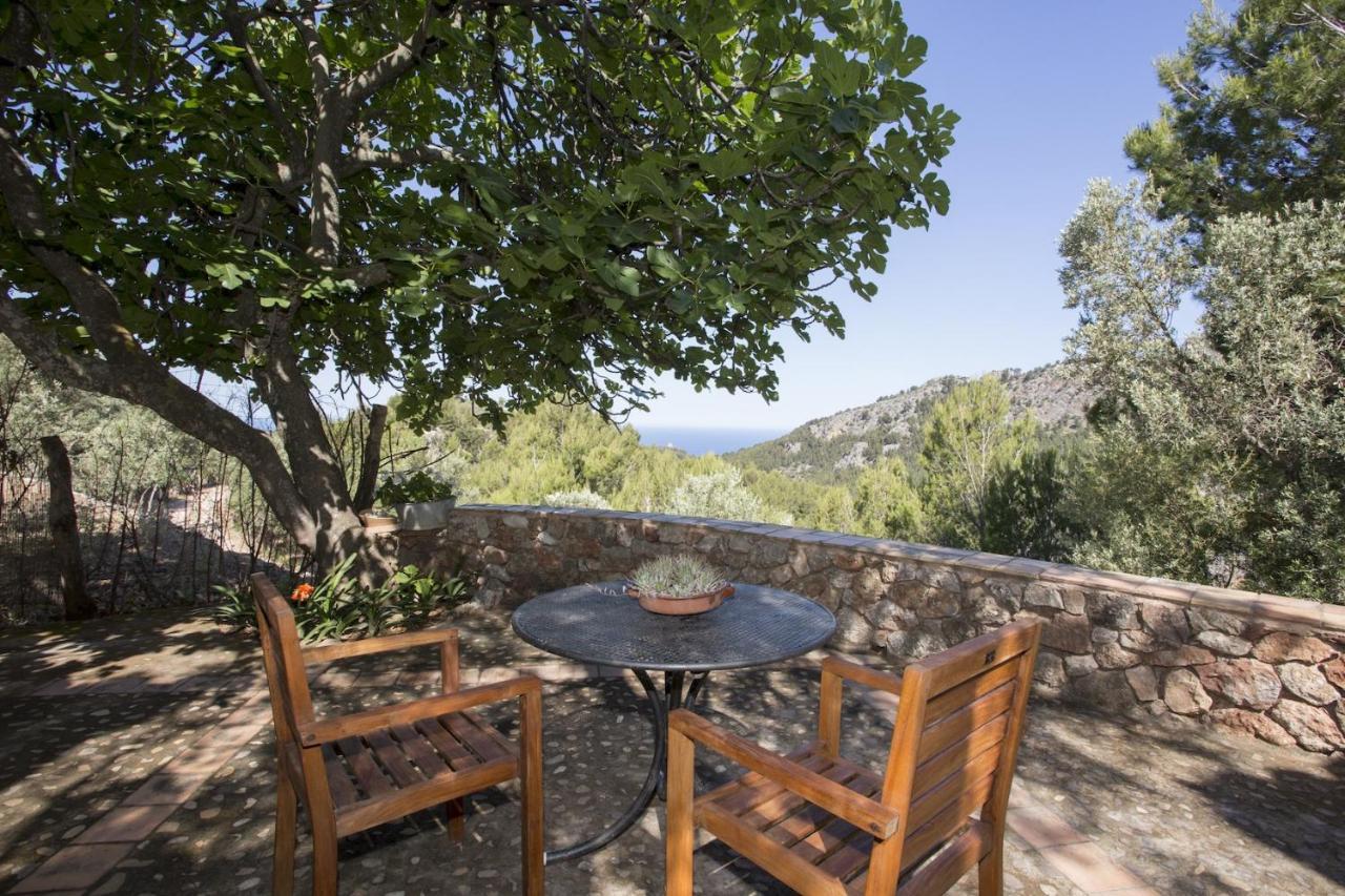Es Coco, Soller